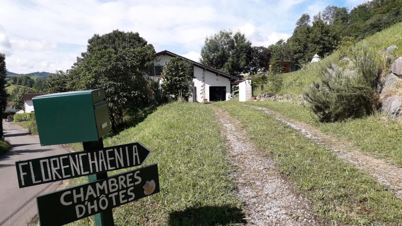 Maison Florenchaenia Sur Le Chemin De Compostelle Lägenhet Saint-Jean-Pied-de-Port Exteriör bild